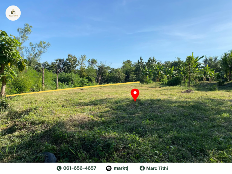 ขายด่วน ที่ดิน พชรบูรณ์ ทำเลสวย บรรยากาศดี ติดถนนสาธารณะ (ลดเหลือ 799,000)