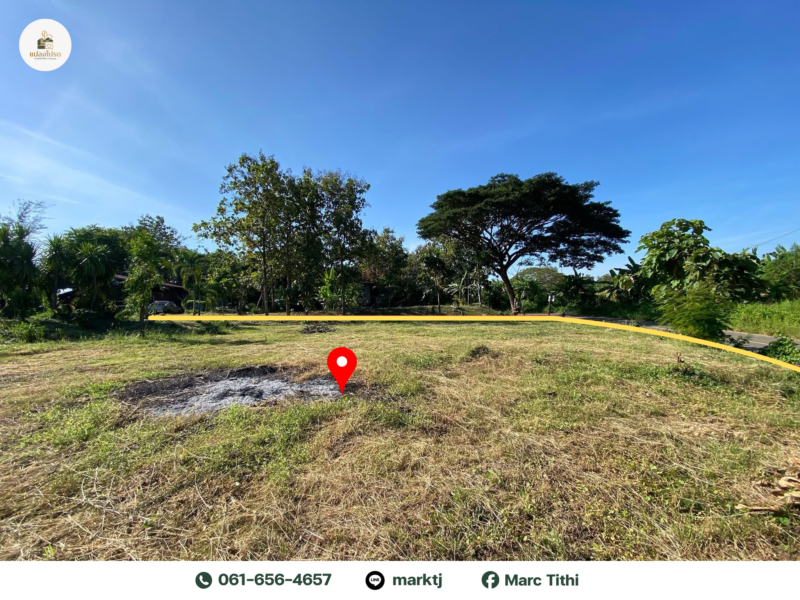 ขายด่วน ที่ดิน พชรบูรณ์ ทำเลสวย บรรยากาศดี ติดถนนสาธารณะ (ลดเหลือ 799,000)