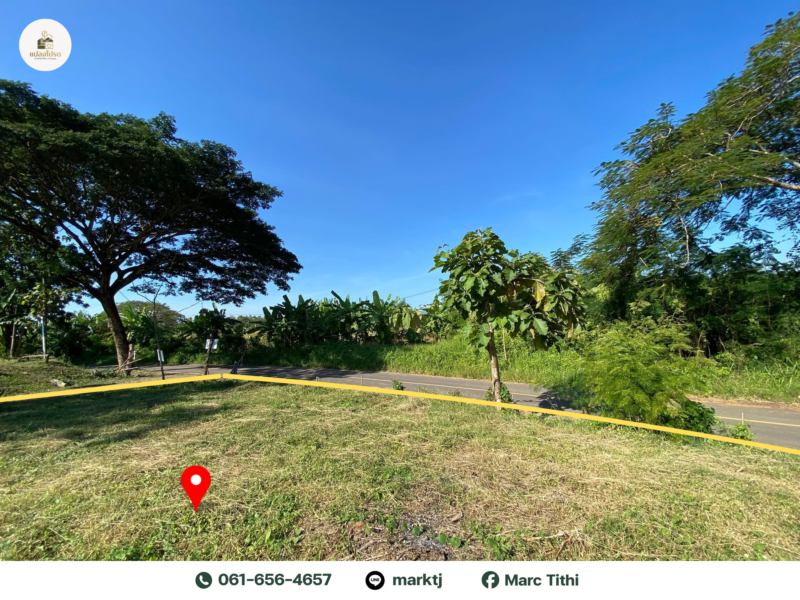 ขายด่วน ที่ดิน พชรบูรณ์ ทำเลสวย บรรยากาศดี ติดถนนสาธารณะ (ลดเหลือ 799,000)