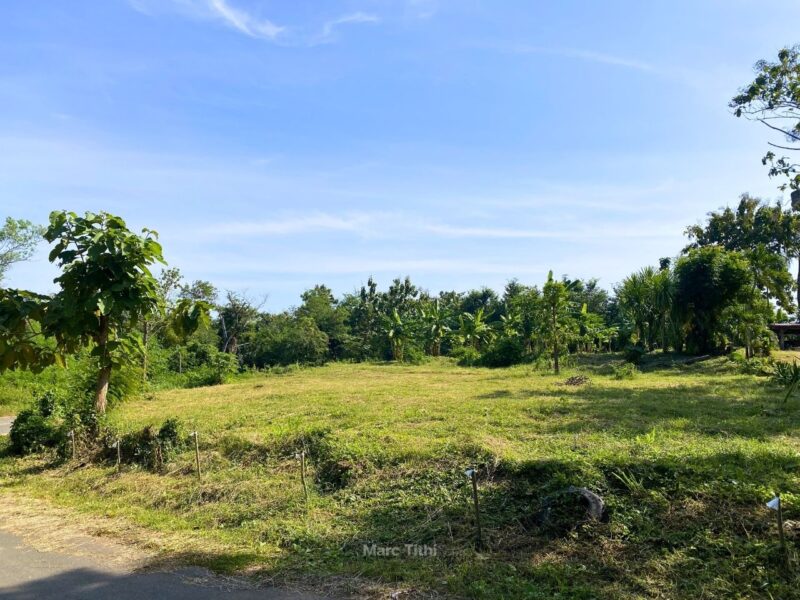 ด่วน! ลดราคาพิเศษ ที่ดินท่าพล เพชรบูรณ์ 1 ไร่ 3 งาน บรรยากาศดี น้ำไม่ท่วม (เจ้าของขายเอง)