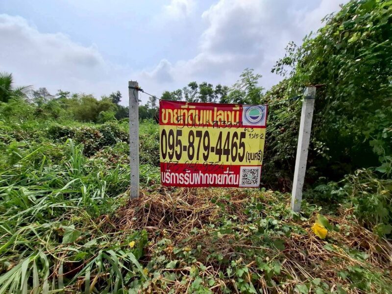 ขายถูกที่ดิน 500 ตรว ติดถนนคอนกรีตสาธารณะ ซ.คลองสาม 13/5-2 คลองหลวง ปทุมธานี