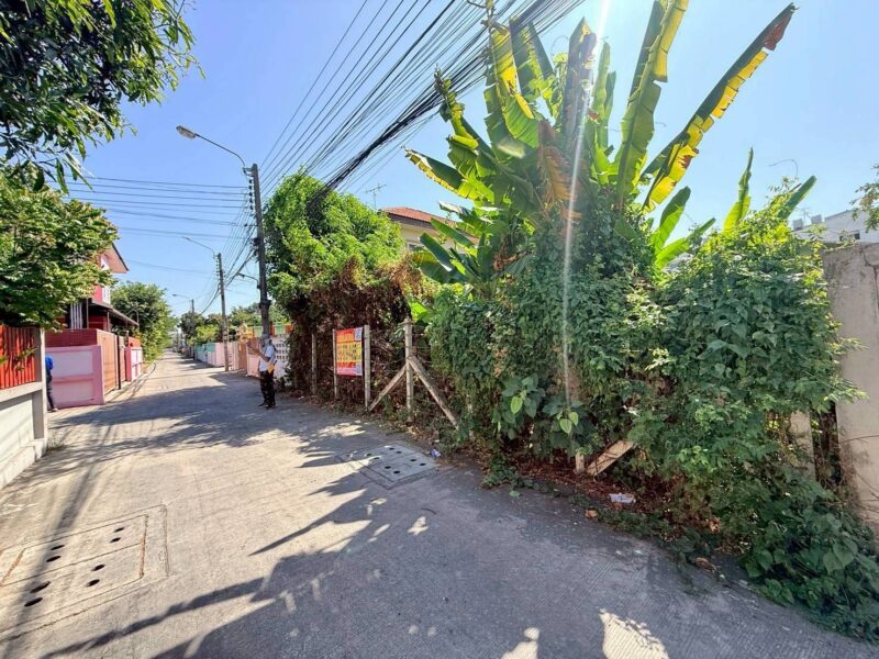 ขายถูกที่ดิน 100 ตรว ซอยพหลโยธิน 54/1 แยก 6-10 สายไหม กทม.ถมแล้ว+ล้อมลวดหนาม