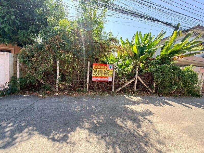 ขายถูกที่ดิน 100 ตรว ซอยพหลโยธิน 54/1 แยก 6-10 สายไหม กทม.ถมแล้ว+ล้อมลวดหนาม
