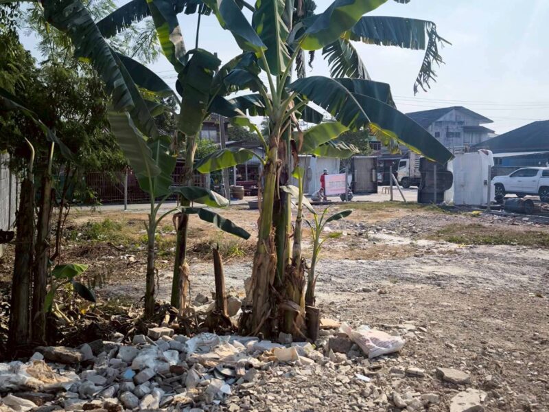 ขายที่ดินใกล้วัดอุดมรังสี 174 ตรว ติดถนนคอนกรีต สาธารณะ ซ.เพชรเกษม 79 แยก 6 เขตภาษีเจริญ กทม.