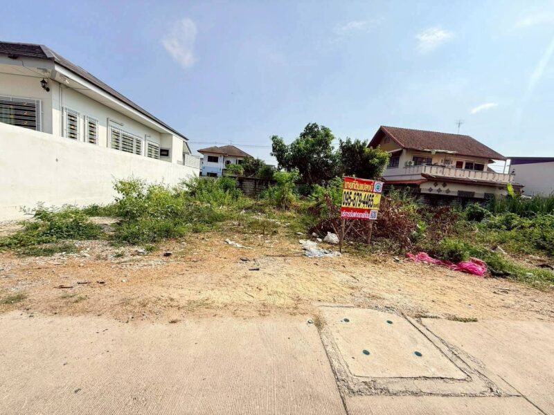 ขายด่วนที่ดินคลองสอง 50 ตรว ติดถนนคอนกรีตสาธารณะ ซ.บงกช 43 คลองหลวง ปทุมธานี
