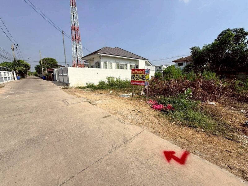 ขายด่วนที่ดินคลองสอง 50 ตรว ติดถนนคอนกรีตสาธารณะ ซ.บงกช 43 คลองหลวง ปทุมธานี