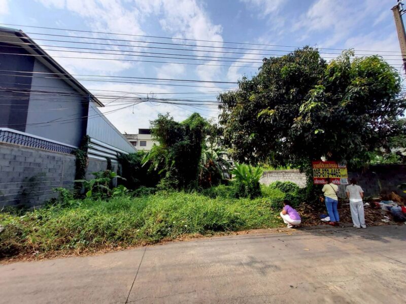 ขายถูกที่ดิน 111 ตรว ติดถนนคอนกรีตสาธารณะ ถมแล้ว ซ.ติวานนท์-ปากเกร็ด 27 อ.ปากเกร็ด จ.นนทบุรี