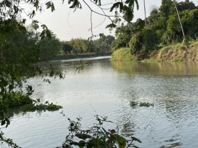 ขายที่ดินติดริมแม่น้ำท่าจีน 742 ตรว.