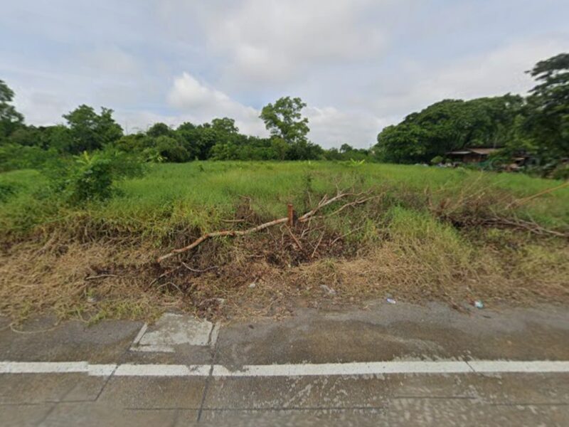 ที่ดินปทุมธานี ตำบลพืชอุดม ติดถนนเจ้าของขายเองราคาคุยกันได้