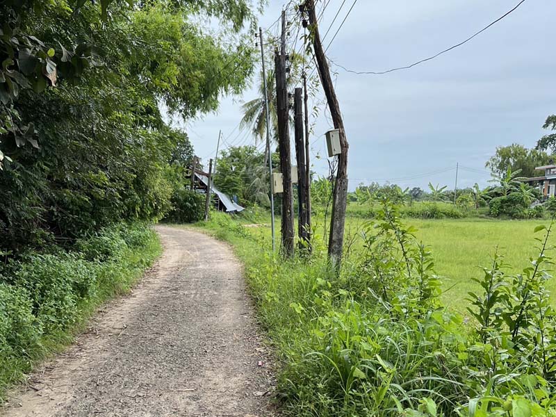 ขายที่ดินเมืองศรีสะเกษ สวยๆ ทำเลดี ราคาไม่แพง สนใจติดต่อได้เลย