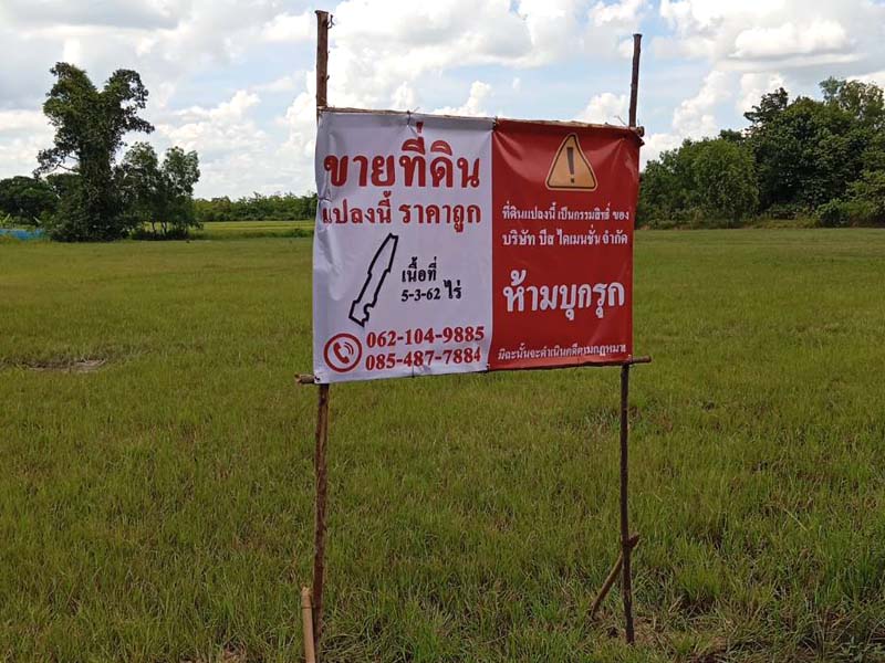 ขายที่ดินเมืองศรีสะเกษ สวยๆ ทำเลดี ราคาไม่แพง สนใจติดต่อได้เลย