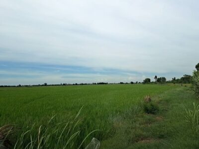 ขายที่ดินราคาพิเศษ อยุธยา บางปะอิน 68-2-9 ไร่ ด้านหน้าติดถนนใหญ่ 347 โทร 084-1416555