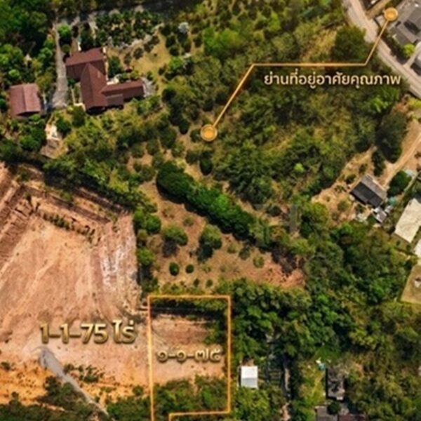 ขายที่ดินเนินเขา 1 ไร่กว่า ใกล้สิงห์ปาร์ค-วัดร่องขุ่น ทำเลแยกหัวฝาย เชียงราย น้ำไม่ท่วม! โทร 081-0321111