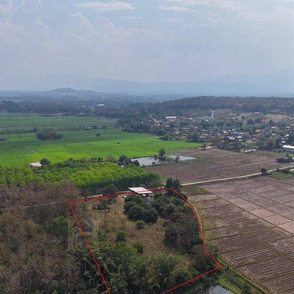 ขายที่ดินเปล่าพร้อมสิ่งปลูกสร้าง ทำเลบ้านจำปู ต.เจริญเมือง อ.พาน จ.เชียงราย โทร 081-0321111