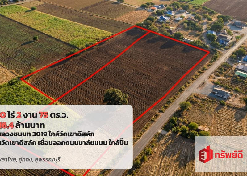 ขายที่ดินอู่ทอง สุพรรณบุรี 20 ไร่ 2 งาน 75 ตารางวา