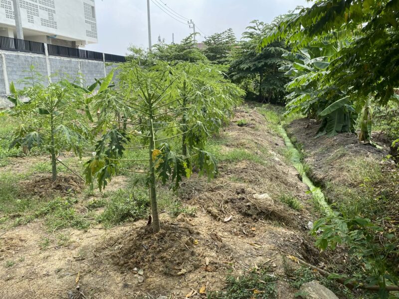 "ขายที่ดินติดถนนใหญ่ติวานนท์ 2-2-85 ไร่ ทำเลทองใกล้โรงเรียนสวนกุหลาบนนท์ เหมาะทำธุรกิจ"