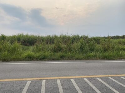 ขายที่ดิน เนื้อที่ 29 ไร่ เกาะจันทร์ จังหวัดชลบุรี