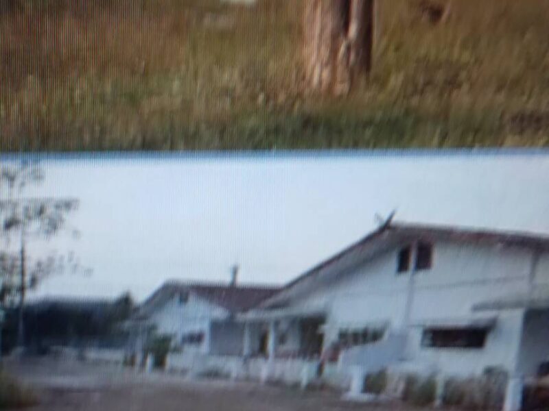 ขายโกดังและคลังสินค้าพร้อมโรงงานเปล่า ตาก Sale Ware House and Factory at Tak แปลงใหญ่ 33 แม่สอด ตาก