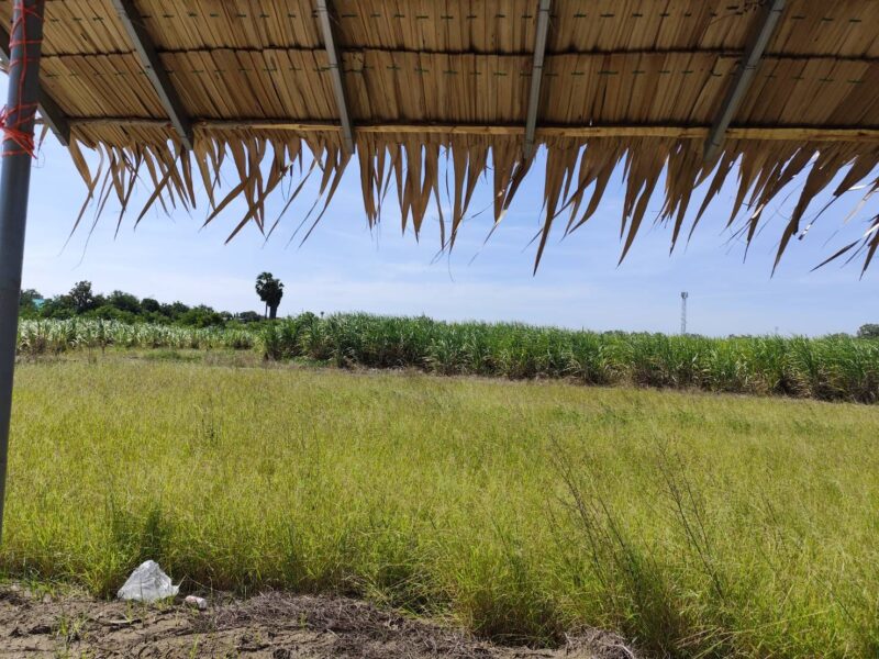 ขายที่ดินสวยมาก 1-9 ไร่ หรือ 200 ตรว แบ่งขายได้ ขาย 15500 บาทต่อตารางวา แปลง 5-9 ไร่ โฉนด ไร่สวยๆ แบ่งขายได้ นครปฐม Land on sale Nakhon Pathom