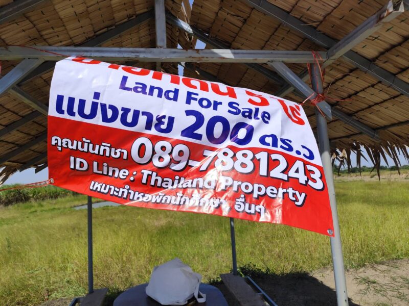 Vacant land for sale 1-9 Rais good view natural plot amidst cornfields near Kasetsart University, Kamphaeng Saen Campus, Nakhon Pathom ขายที่ดินเปล่า แปลง 5-9 ไร่ แบ่งได้ ที่ใกล้หอพัก นกฮูกเก้า ม. เกษตร กำแพงแสน นครปฐม