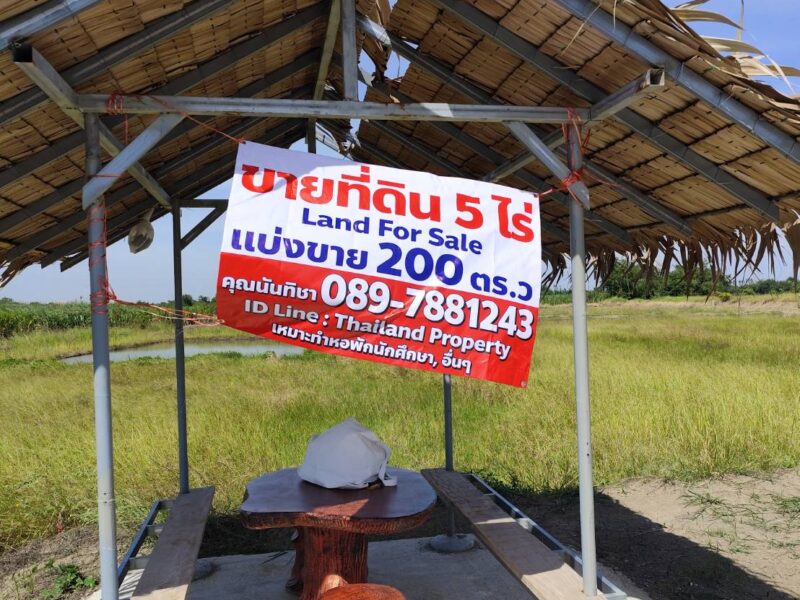 ขายที่ดินเปล่า 1-9 ไร่ กำแพงแสน นครปฐม ใกล้ มหาลัยเกษตรศาสตร์ นครปฐม Vacant land for sale 1-9 Rais good view natural plot amidst cornfields near Kasetsart University, Kamphaeng Saen Campus, Nakhon Pathom