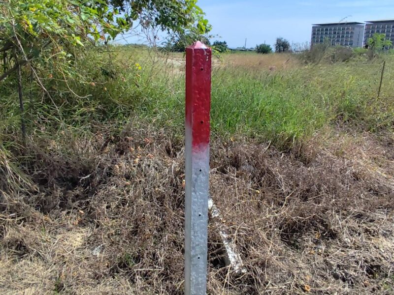 Vacant land for sale 1-9 Rais good view natural plot amidst cornfields near Kasetsart University, Kamphaeng Saen Campus, Nakhon Pathom ขายที่ดินเปล่า แปลง 5-9 ไร่ แบ่งได้ ที่ใกล้หอพัก นกฮูกเก้า ม. เกษตร กำแพงแสน นครปฐม