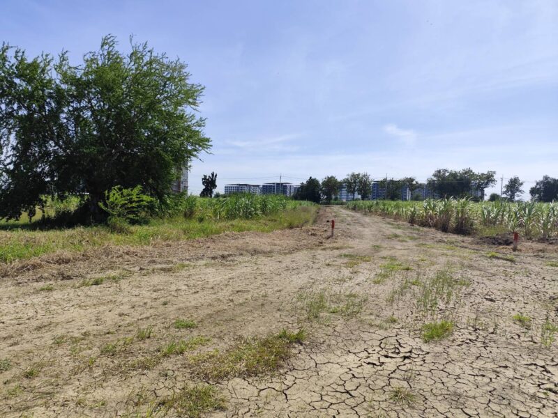 ขายที่ดินสวยมาก 1-9 ไร่ หรือ 200 ตรว แบ่งขายได้ ขาย 15500 บาทต่อตารางวา แปลง 5-9 ไร่ โฉนด ไร่สวยๆ แบ่งขายได้ นครปฐม Land on sale Nakhon Pathom