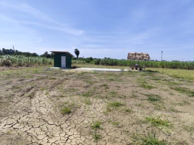 ขายที่ดินเปล่า 1-9 ไร่ กำแพงแสน นครปฐม ใกล้ มหาลัยเกษตรศาสตร์ นครปฐม Vacant land for sale 1-9 Rais good view natural plot amidst cornfields near Kasetsart University, Kamphaeng Saen Campus, Nakhon Pathom