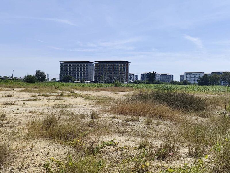 Vacant land for sale 1-9 Rais good view natural plot amidst cornfields near Kasetsart University, Kamphaeng Saen Campus, Nakhon Pathom ขายที่ดินเปล่า แปลง 5-9 ไร่ แบ่งได้ ที่ใกล้หอพัก นกฮูกเก้า ม. เกษตร กำแพงแสน นครปฐม