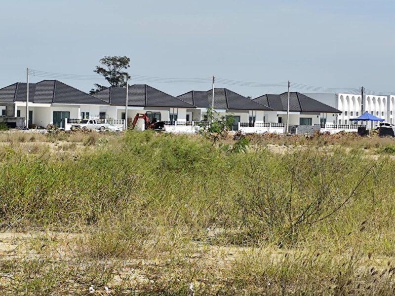 ขายที่ดินเปล่า 1-9 ไร่ กำแพงแสน นครปฐม ใกล้ มหาลัยเกษตรศาสตร์ นครปฐม Vacant land for sale 1-9 Rais good view natural plot amidst cornfields near Kasetsart University, Kamphaeng Saen Campus, Nakhon Pathom