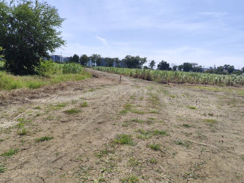 ขายที่ดินสวยมาก 1-9 ไร่ หรือ 200 ตรว แบ่งขายได้ ขาย 15500 บาทต่อตารางวา แปลง 5-9 ไร่ โฉนด ไร่สวยๆ แบ่งขายได้ นครปฐม Land on sale Nakhon Pathom