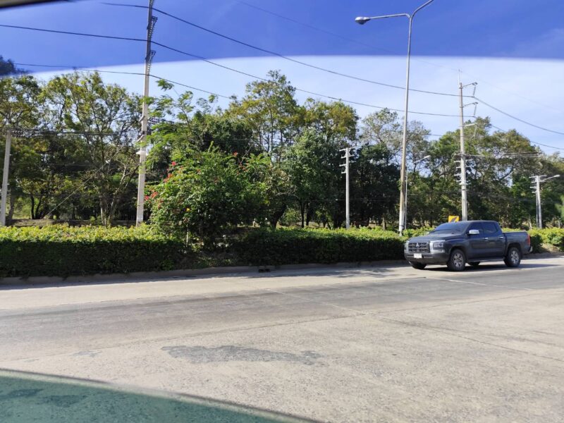 Vacant land for sale 1-9 Rais good view natural plot amidst cornfields near Kasetsart University, Kamphaeng Saen Campus, Nakhon Pathom ขายที่ดินเปล่า แปลง 5-9 ไร่ แบ่งได้ ที่ใกล้หอพัก นกฮูกเก้า ม. เกษตร กำแพงแสน นครปฐม