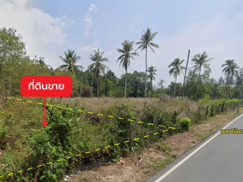 ขายที่ดิน 1 ไร่ 0 งาน 60.2 ตร.ว. ติด ซอยไม้ขาว 7 ใกล้ หาดไม้ขาว
