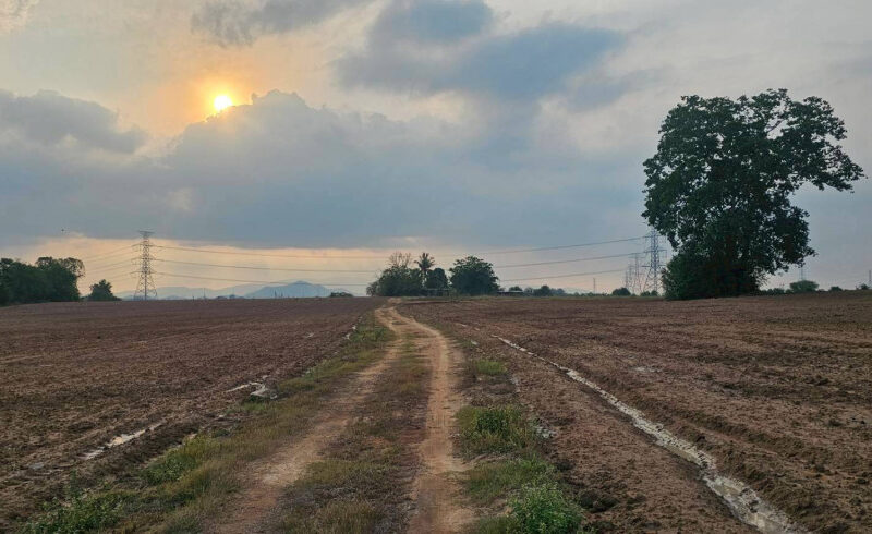 ขายที่ดิน จ.ชลบุรี เนื้อที่ 108-0-14 ไร่ ใกล้นิคมอุตสาหกรรม WHA ESIE 3