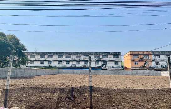 ให้เช่าที่ดินถมแล้ว 367 ตร.ว. ซอยลาซาล 81 ใกล้ตลาดเซฟวันโก บางนา และMRT ศรีลาซาล