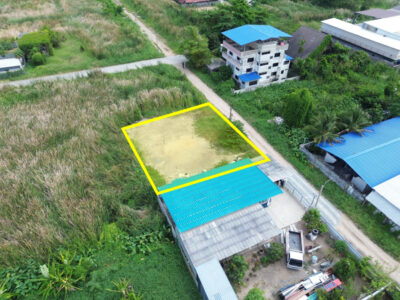 ขาย ที่ดิน หมู่บ้าน ธารทอง 2 แยก 10 บางบัวทอง 120 ตร.วา ถมแล้ว ในซอยวัดลาดปลาดุก ใกล้บางใหญ่ เดินทางสะดวก เหมาะปลูกบ้าน