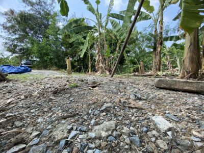 "ขายที่ดินติดถนนใหญ่ติวานนท์ 2-2-85 ไร่ ทำเลทองใกล้โรงเรียนสวนกุหลาบนนท์ เหมาะทำธุรกิจ"