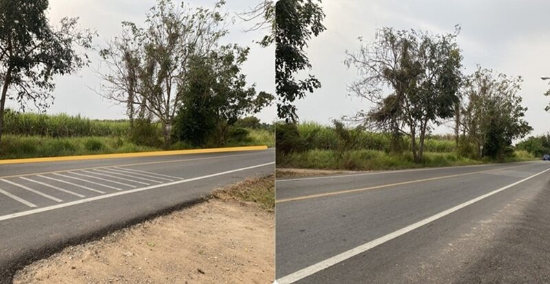 ขายที่ดิน เนื้อที่ 29 ไร่ เกาะจันทร์ จังหวัดชลบุรี