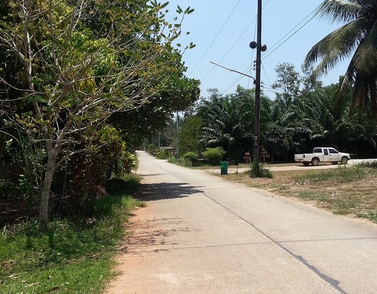 ขายที่ดินเปล่า ต.วังไผ่ อ.เมืองชุมพร จ.ชุมพร