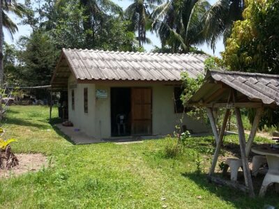 ขายที่ดินเปล่า ต.วังไผ่ อ.เมืองชุมพร จ.ชุมพร