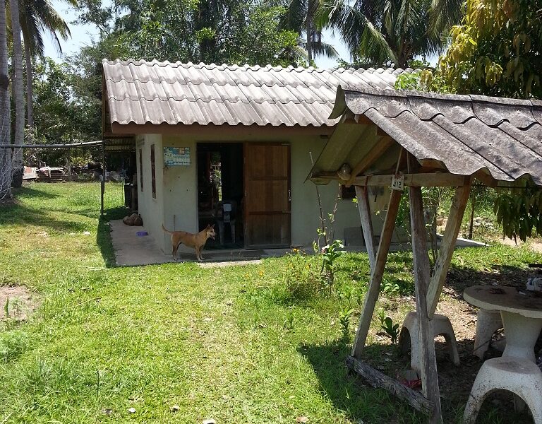 ขายที่ดินเปล่า ต.วังไผ่ อ.เมืองชุมพร จ.ชุมพร