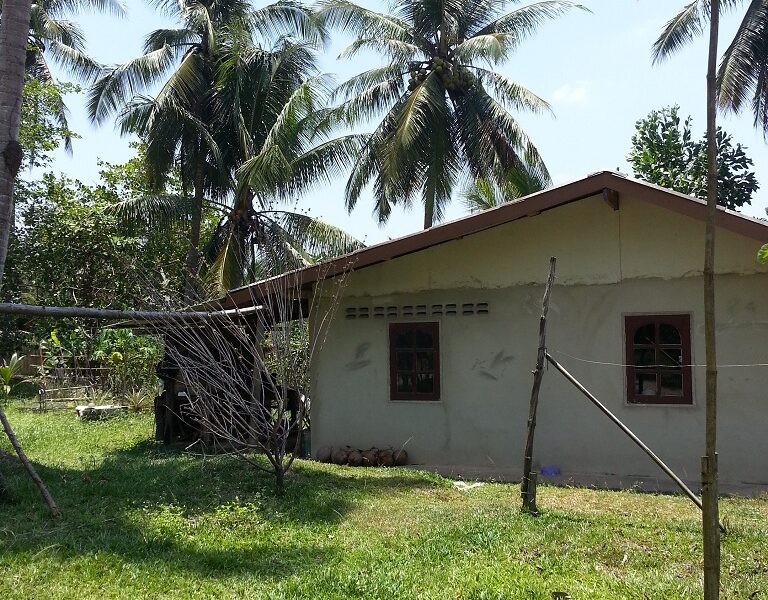 ขายที่ดินเปล่า ต.วังไผ่ อ.เมืองชุมพร จ.ชุมพร