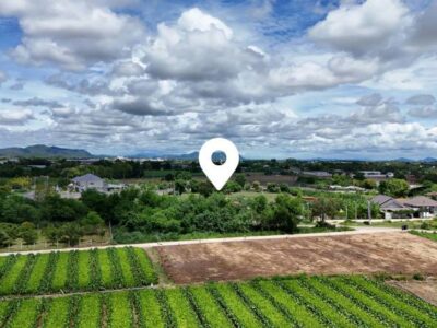 ขายที่ดินติดถนน 2 ด้าน หลังวัดวังขนาย อำท่าม่วง กาญจนบุรี ห่างถนนใหญ่เพียง 400 เมตร