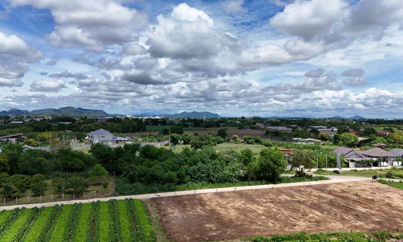 ขายที่ดินติดถนน 2 ด้าน หลังวัดวังขนาย อำท่าม่วง กาญจนบุรี ห่างถนนใหญ่เพียง 400 เมตร