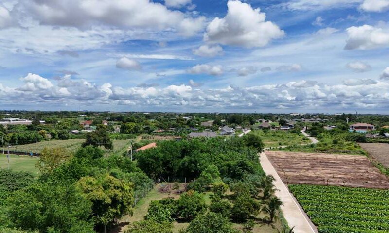 ขายที่ดินติดถนน 2 ด้าน หลังวัดวังขนาย อำท่าม่วง กาญจนบุรี ห่างถนนใหญ่เพียง 400 เมตร