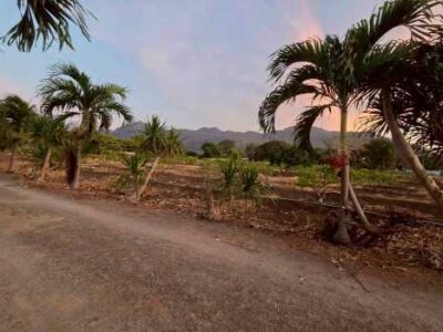 ขายที่ดินปากช่อง 1 ไร่ 2 งาน 0 ตร.ว. ใกล้ถนนมิตรภาพ และโลตัส โกเฟรช กลางดง