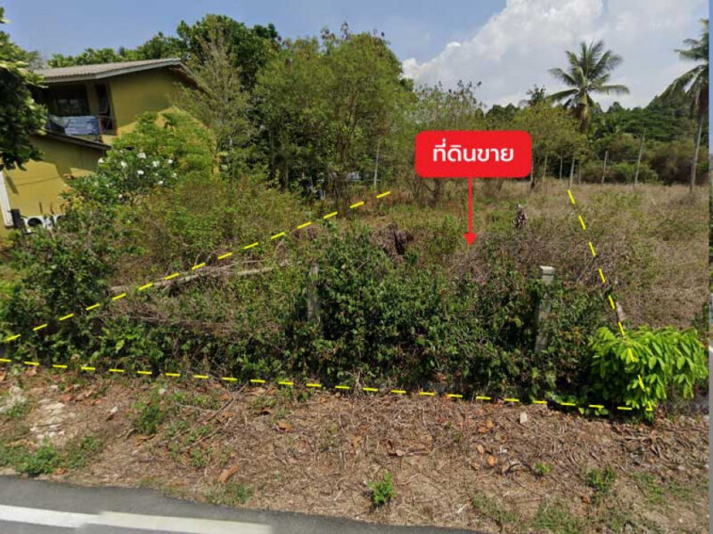 ขายที่ดิน 1 ไร่ 0 งาน 60.2 ตร.ว. ติด ซอยไม้ขาว 7 ใกล้ หาดไม้ขาว