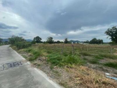 ขาย ที่ดิน ซอยไหหลำ ห้วยกะปิ เมืองชลบุรี 2 ไร่ 50 ตร.วา ใกล้ถ.ข้าวหลาม ตลาดหนองมน เข้าออกได้หลายทาง เหมาะทำพูลวิลล่า บ้านจัดสรร