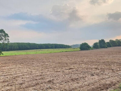 ขายที่ดิน จ.ชลบุรี เนื้อที่ 108-0-14 ไร่ ใกล้นิคมอุตสาหกรรม WHA ESIE 3