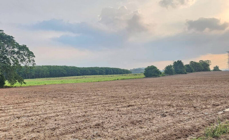 ขายที่ดิน จ.ชลบุรี เนื้อที่ 108-0-14 ไร่ ใกล้นิคมอุตสาหกรรม WHA ESIE 3